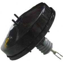 Zenon Mtxdpn Westanauz F.albea- 1.2- 1.4- 1.3 Mtj 2001-