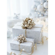 Parti Adresi Hediye Paketleme Seti Kağıt Fiyonk ve Kurdele Kraft- Gümü Çizgili 3'lü