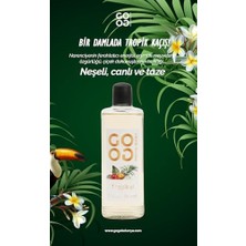 Storemax Gogo Tropikal Kolonya 250ML Cam Şişe