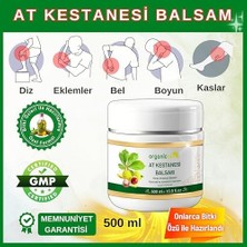 Storemax Organicsun At Kestanesi Balsamı Jeli Kas ve Eklem Besleyici Masaj Kremi 500 ml