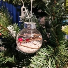 Dodomar Yılbaşı Ağaç Süsü Karlı ve Kırmızı Kokinalı 6cm Şeffaf Mika Lüks Ağaç Süsü Tekli