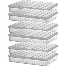 Storemax - Nora 6'lı 2.5 Litre Büyük Boy Mürdüm Saklama Kabı