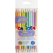 Storemax Pastel Renk Kuru Çift Taraflı 12'li (24 Renk)