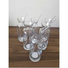 Storemax Aybaba Store Cam Pipetli Meşrubat Bardağı Limonata Bardak Süt Şişesi Sunum Karaf 6 Adet