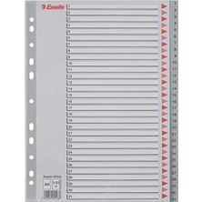 Storemax 1-31 Rakamlı Separatör, A4, Gri, 100108