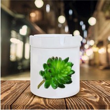 Kaktüs Baskılı Seramik Şık Küllük