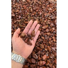 Ahs Kırmızı Bordo Dolomit Çakıl Taşı 6-10 cm 1 kg Dekoratif Bahçe Peyzaj Saksı Akvaryum Teraryum