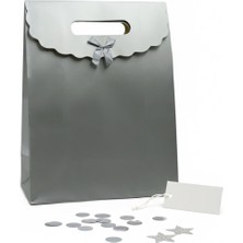 Repro Design 29x38 Büyük Boy Renkli Zarf Model Cırtlı Karton Çanta 1 Adet (Gümüş)