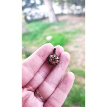 BaharEli Cevşen Yaka Iğnesi, Kolye / Nazar Duası ve Ayet'el Kürsi / Nazarlık / Bebek / Gelin