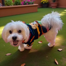 Miniş Kapüşonlu Çizgili Küçük Köpek Sweatshirtü