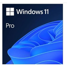 Ms Wındows 11 Pro 32/64 Bıt Tr Kutu USB HAV-00159