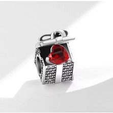 Hector Co Jewellery Gümüş Işıltılı Hediye Kutusu Charm