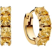 Hector Co Jewellery Gümüş Sarı Halka Küpeler