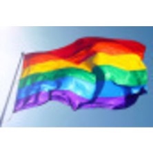 Rainbow (Gökkuşağı) Bayrağı 70X105CM