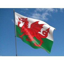 Galler Bayrağı 150X225 cm Wales Flag