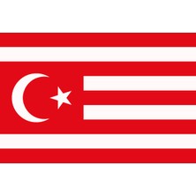 Batı Türkistan Bayrağı 100X150CM