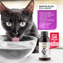 Munich Vet Biotine Plus Kedi Sağlığı Damlası 50 ml Kediler İçin Tüy Sağlığı Damlası