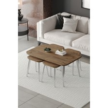 ED Efelez Design Zigon ve Orta Sehpa 5'li Takım , Metal Ayaklı , Roma 4+1 Sehpa , Gümüş Metal - Atlantik Çam Tabla