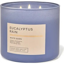 Eucalyptus Rain Büyük Mum