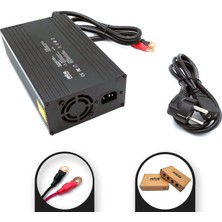Sylar Retro 14.6V 30A 438W Lifepo4 Batarya Şarj Adaptörü RPA-AC441