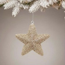 Ritzz Kabartma Detaylı Simli Yıldız Dekoratif Süs Şampanya 15 cm (1 Adet)