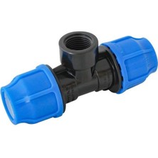 20-1/2 Pe Dişi Te Pimtaş