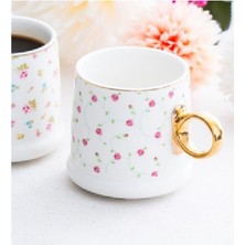 Acar KAI-06393 Petra Kupa