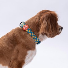 Pawstar Ducks Ördek Desenli Köpek Boyun Tasması Ayarlanabilir Köpek Tasması M Size (32-48CM Boyun Aralığı)