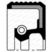 PAYEN Matrixzn Krank Arka KeÇesİ R9-r11-r19-r12 Toros-clio-mgn-scenic-kng-twng 80x100x8