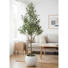 Nettenevime Yapay Zeytin Ağacı 185CM Doğal Görünümlü Yapay Ağaç Beyaz 30CM Küre Saksıda