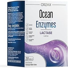 SanalAMCA Store Ocean Enzymes Lactase Damla 20ML