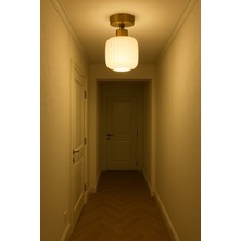 Uçar Elif Modern Tasarım Antre Hol Mutfak Çocuk Odası Plofonyer Tavana Sıfır Minimal Camlı Tekli Avize