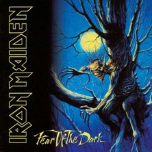Warner Music Iron Maıden  - Fear Of The Dark (180G) -  2 Plak