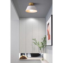 Uçar Dolly Modern Hol Koridor Giriş Için Tekli Plofonyer Metal Avize