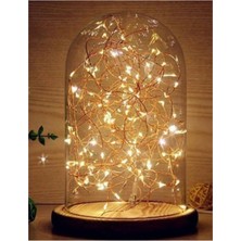 Empressco Parlak 50 LED Peri Günışığı 5mt Pilli Ağaç Süsleme Işıklandırma