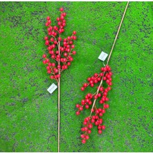 Konak Tek Dal Kokina Çiçeği Ortaboy