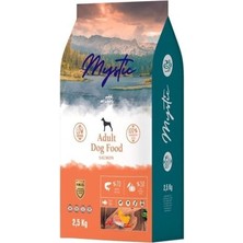 Mystic Az Tahıl Yetişkin Köpek Maması Somon 2,5 Kg