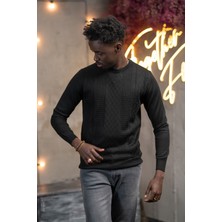 Woolen World Regular Fit Yünlü Kendinden Desenli Bisiklet Yaka Triko Kazak