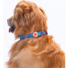 Pawstar Charm Nazar Boncuğu Desenli Köpek Boyun Tasması Ayarlanabilir Köpek Tasması