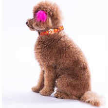 Pawstar Poodle Köpek Desenli Köpek Boyun Tasması Ayarlanabilir Köpek Tasması