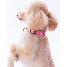 Pawstar Daisy Papatya Desenli Köpek Boyun Tasması Ayarlanabilir Köpek Tasması