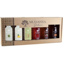 Mudanya Sirkecisi Doğal Fermente Katkısız 6’lı Mini Sirke Seti 100 ml – Lansman Kutulu Gurme Seri