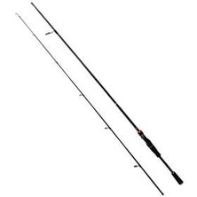 Sea Horse Aquila Als Kamış