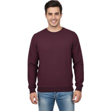 Raymons Erkek Sıfır Yaka Petek Doku Regular Fit Sweatshirt BGL-ST04950