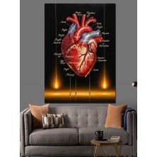 Karizma Tablo Anatomik Kalp Damar Sistemi Dekoratif Kanvas - Mdf Ahşap Tablo