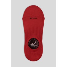 Lufian Colour Kadın Çorap