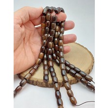 Yaşam Tohumu Ceviz Ağacı Kapsül Kesim 9.5*12MM Ahşap Dizi (56900)