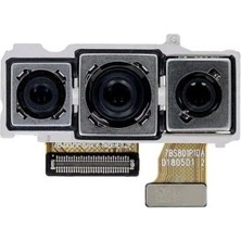 OEM Samsung M30 Arka Kamera