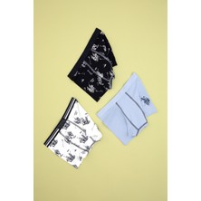 U.S. Polo Assn. Erkek Çocuk 3'lü Boxer Takım 50319396-VR033