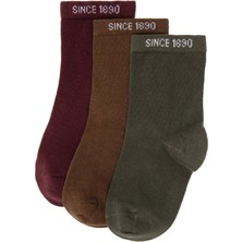 U.S. Polo Assn. Erkek Çocuk 3'lü Soket Çorap 50318041-VR177